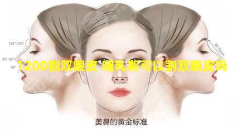 1200割双眼皮 哺乳期可以割双眼皮吗